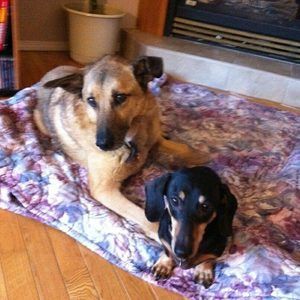 Meet your Posher, Meghan